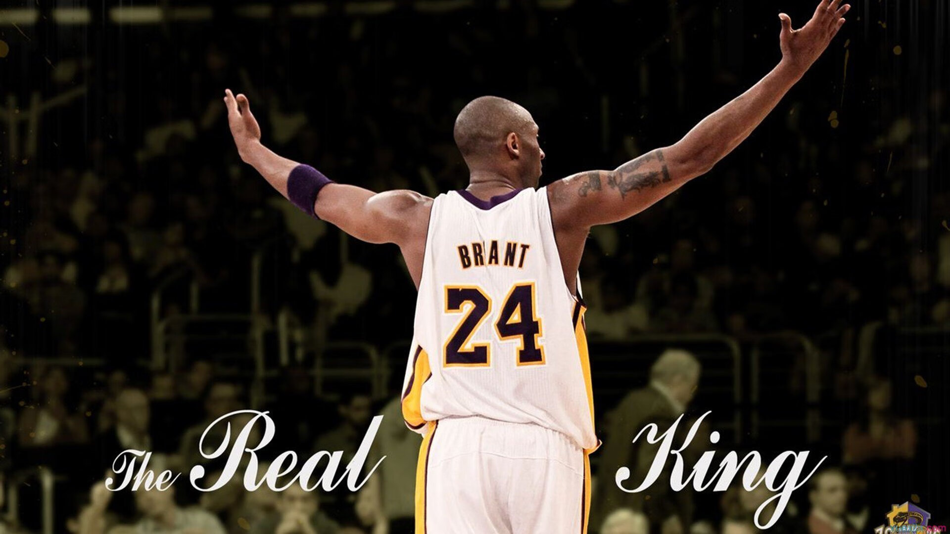 绝境淬真金!班凯罗压哨觉醒,广东擒鹰背后的英雄与救赎